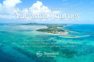 小浜島・細崎集落の空撮。コーラルブルーの海に囲まれた集落